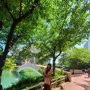 소피텔 삼거리 이미지