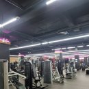 향촌하와이사우나 이미지