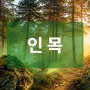 12개의 지지 중 3번째, 인목(寅)