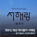 서울인천 근교 당일치기 서해랑 제부도 해상 케이블카 / 케이블카 가격 정보 및 예약