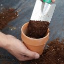 퀸스 휘트니스 이미지