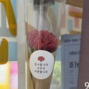 청약 예비순번 200번대 받고 진안동에서 인감도장 만든 썰 (ft. 구두수선 성지 발견)