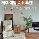 레몬비 곽지해변점 | 제주 애월 가성비 숙소 &#39;해변산책&#39; 3인 가족 리얼 후기 (ft. 타이란아한)