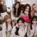 Y.C 엔터테인먼트 이미지