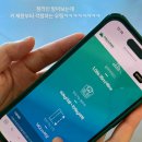 PC런 | 구례 여행 필수 코스! 지리산스카이런 짚라인 가격, 길이, 예약, 소요시간, 주차