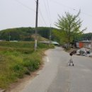 유찬식품 이미지