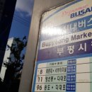 일용할찐빵.만두 이미지