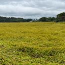 월곡리마을회관 이미지