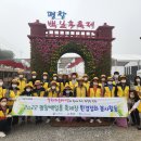 평창시니어클럽 이미지