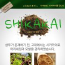 가은트리