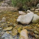 의림대로 | [제천 시내 파스타 피자 맛집!] 라라코스트 제천중앙점 찐 내돈내산 후기