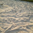 복순이네 이미지