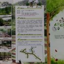 산동참생태숲(160413 구미 산동) 이미지