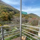 대구 근교 글램핑캠핑장 추천 가창 라운드힐905