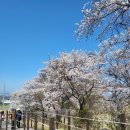 동백한우농장 이미지