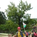 밀레 군산영동점 이미지