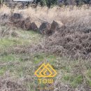 서광리-1 이미지