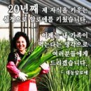 대농식품 이미지