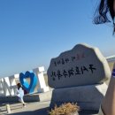 고창자룡태양광 | 고창 투어 [고창, 광주, 담양, 전라도 그 일대 근방]