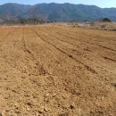 산내참조은 이미지