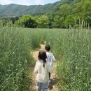 산정목장 2 네이버블로그