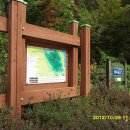 금릉초교 이미지