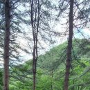 워터힐링 이미지