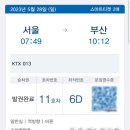 해변의돼지 이미지