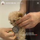 르달링