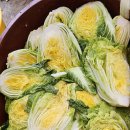 대한적십자사 인제군협의회 비비고. 묻치고, 렛츠고, 나눔 봉사 이미지