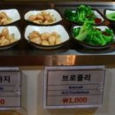 그린테리아1 이미지
