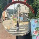 삼대족발(곤지암점) | 8월도 안녕