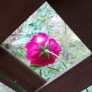 창신황제공인중개사사무소 이미지