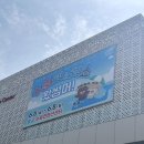 2025 수원컨벤션센터 수원펫&amp;캣쇼 펫쇼 첫날 방문후기 +주차 후기