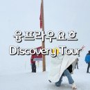 국기도장 | 한여름 눈보라 속의 융프라우요흐 feat. 스위스 국기 인증샷