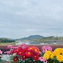 애니카랜드 서세종점 이미지