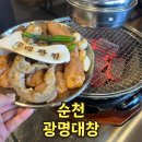 씨유 광명사거리점 | 순천 대창 맛집 조례동 광명대창 모둠구이 찐후기