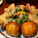 목화(1차) 이미지