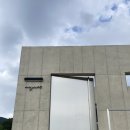 베지아웃 이미지