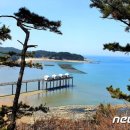 은빛파도 이미지