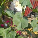 부산경상대학교 이미지