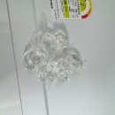 세탁프리워시 탑동점 | 블루워시 세제 후기 캡슐세제 풀패키지 4종 실사용 리뷰(세탁 건조 식세기)