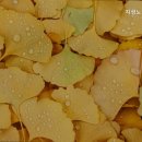 지성노인요양센터 이미지