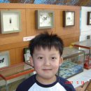 동해곤충농장 이미지