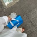 죠스떡볶이제주 | 제주 동문시장 고등어회 포장후기 추천 두툼회