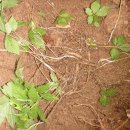 태기산농장 이미지