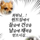 원트짐 이미지