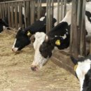 후덕목장 이미지