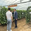 민선농장 이미지