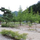 인제 아리캠핑장 이미지
